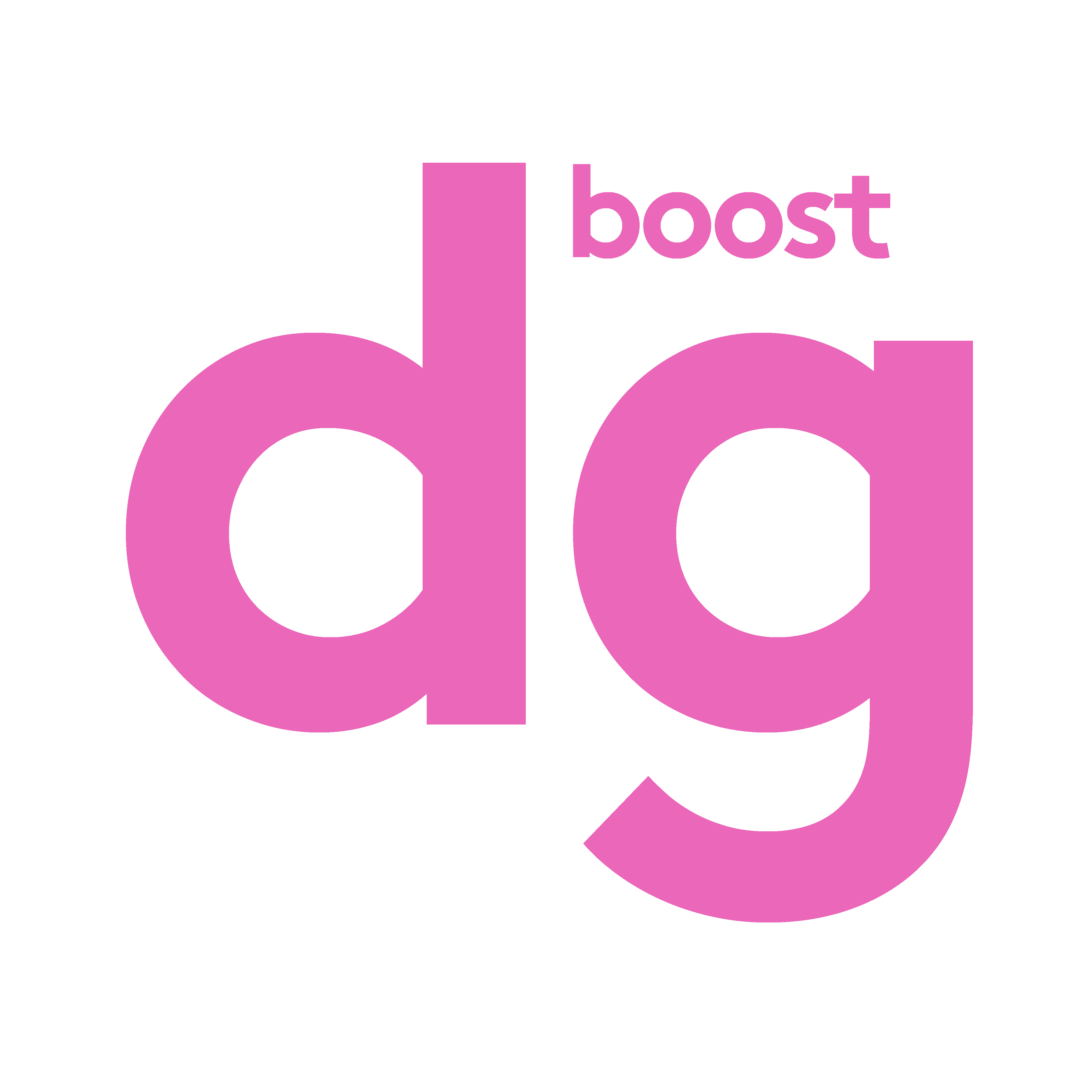 Page de Dgboost